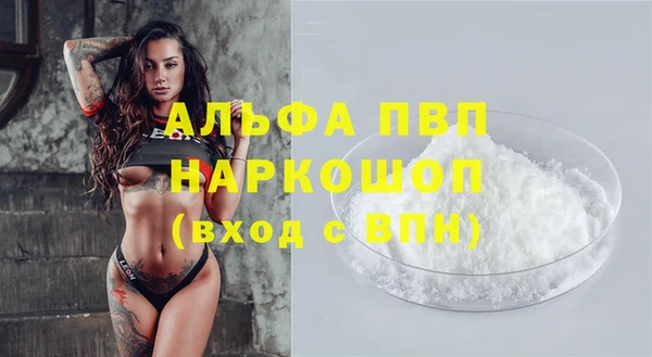 спиды Аркадак