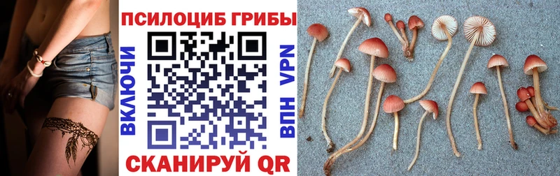 Псилоцибиновые грибы MAGIC MUSHROOMS  ссылка на мегу онион  Советский 